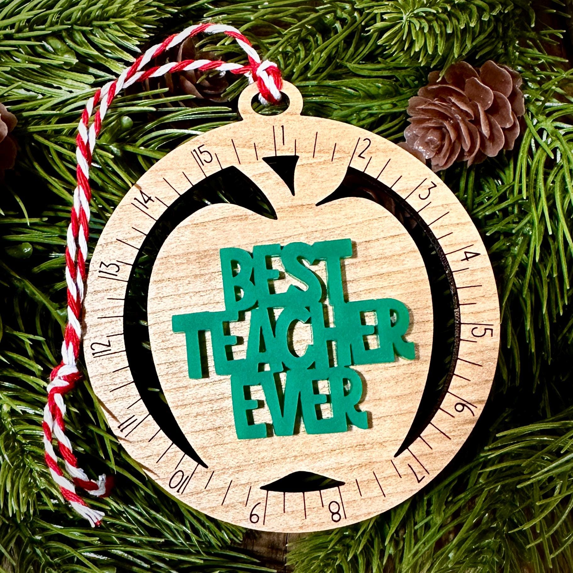 Best Teacher Ornament | Teacher Ornament | Apple Ornament...