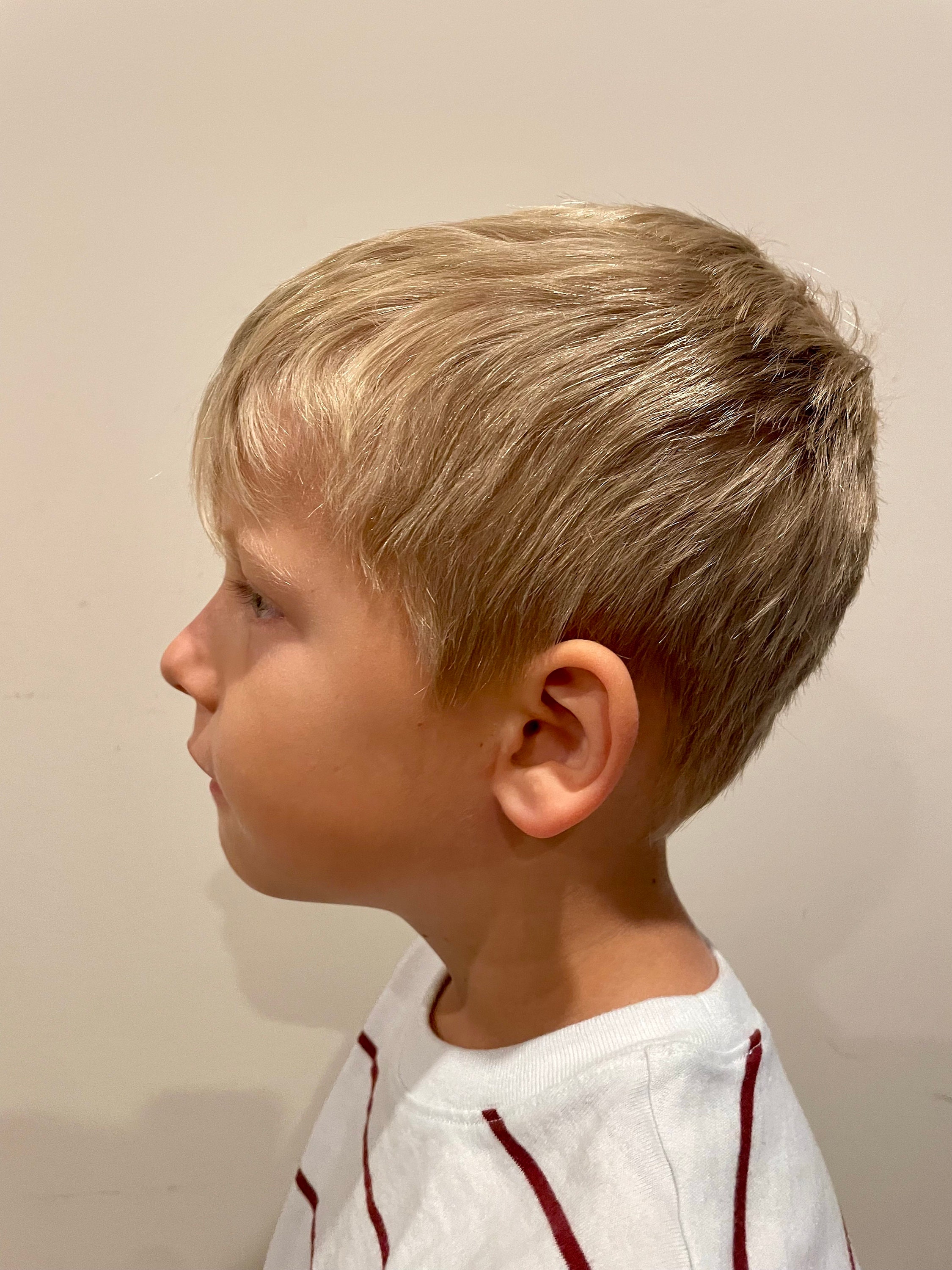 Silhouette Ornaments view 4